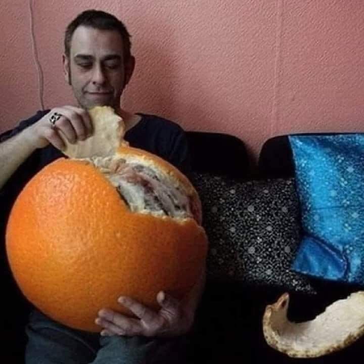 Meme image